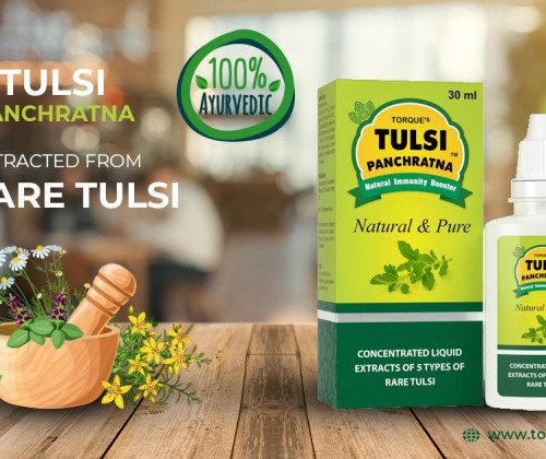 benefits of tulsi for immunity